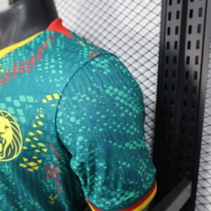 Cameroon national team home kit jersey
