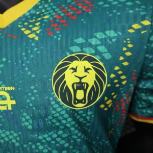 Cameroon national team home kit jersey